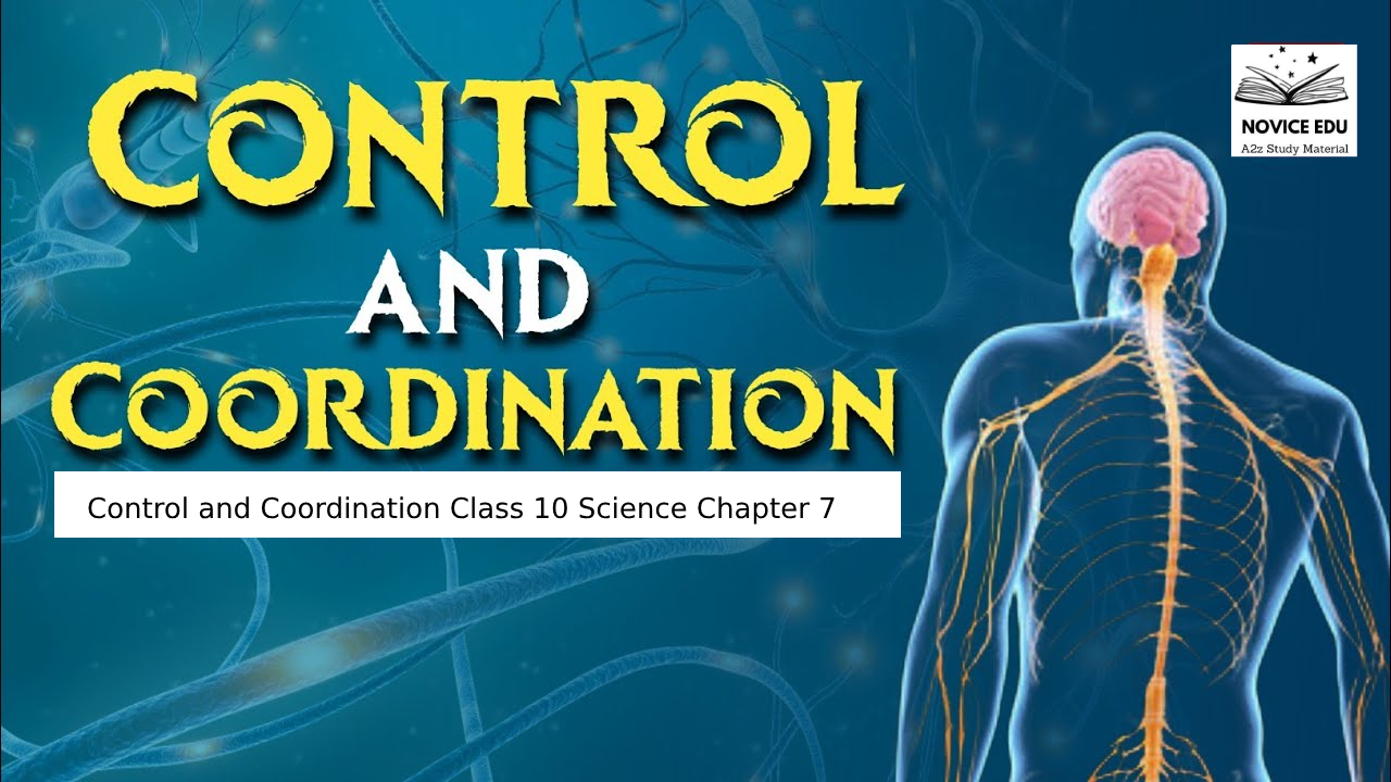 Control and Coordination Class 10